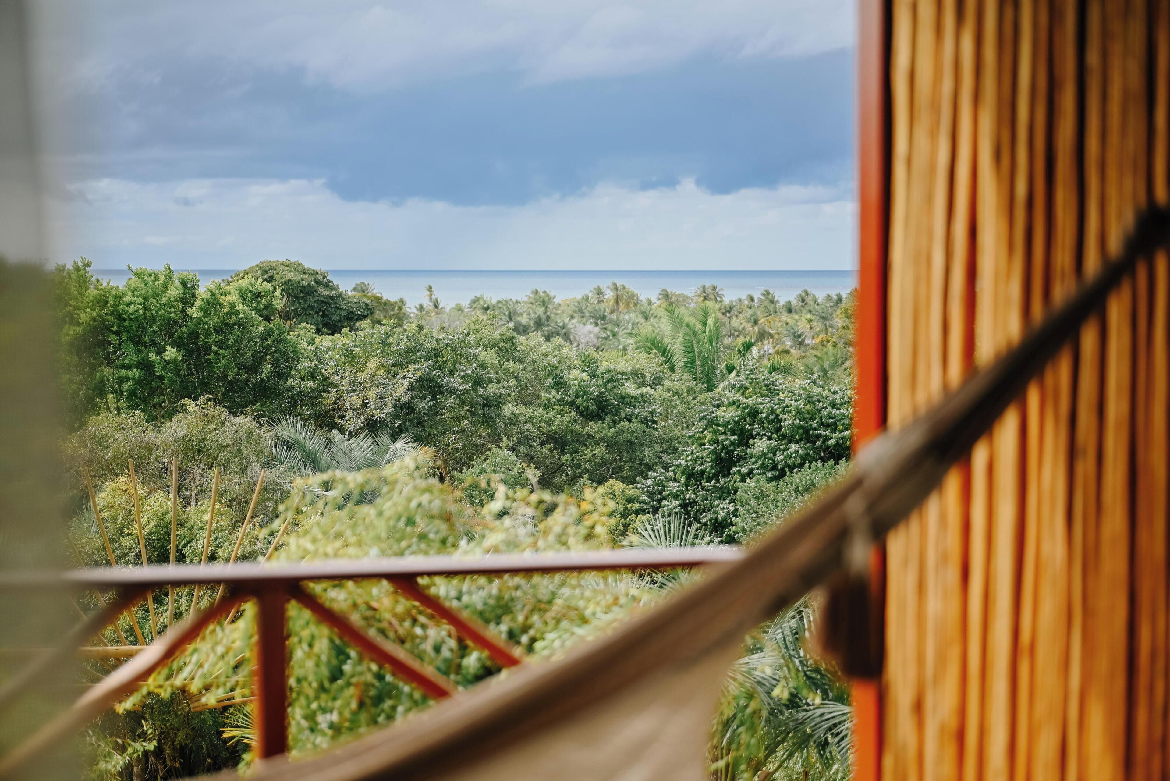 Vista de una hamaca sobre un denso paisaje tropical con cielo despejado.