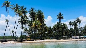 A beach with clear water, palm trees, and a sandy shore. - Pousada Almaré Boipeba (Cairu)