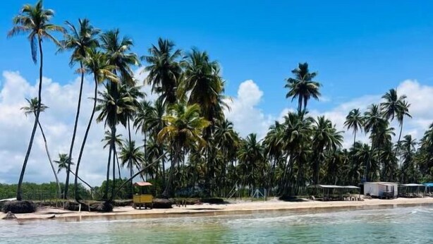 A beach with clear water, palm trees, and a sandy shore. - Pousada Almaré Boipeba (Cairu)