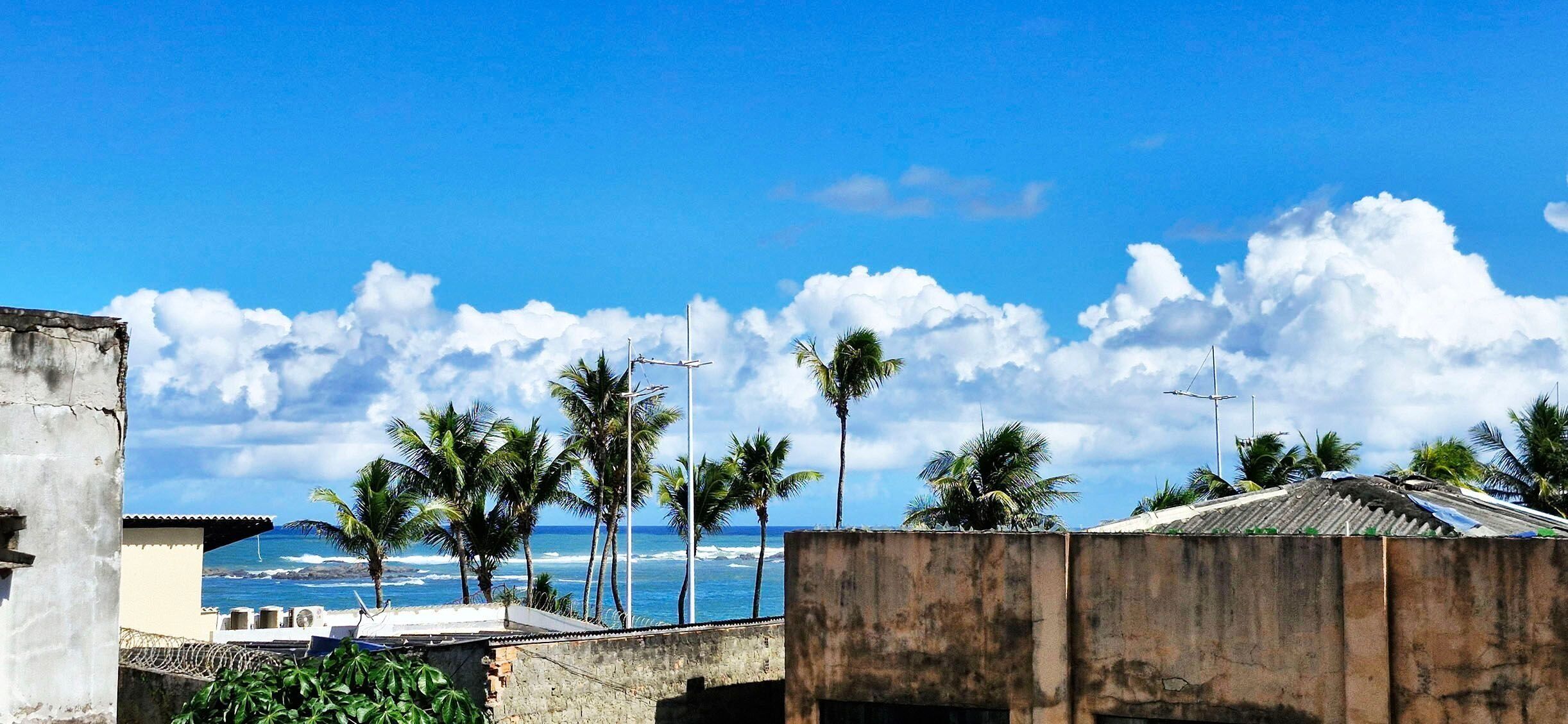 Vista costera con palmeras, una playa y cielo despejado.