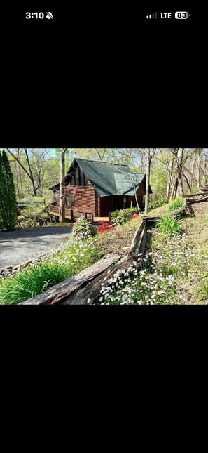 Property grounds - Luxurious private cabin! Close to downtown BR • Hot Tub • Arcade & more… (Blue Ridge)