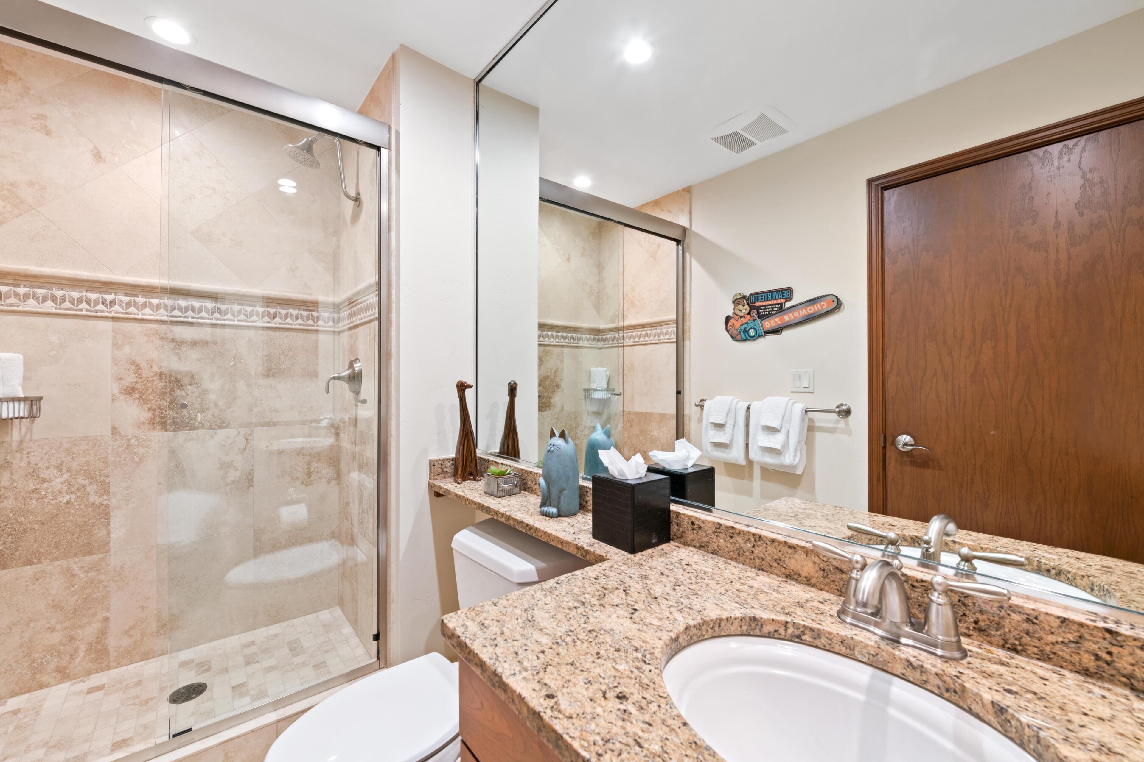 A bathroom with a glass-enclosed shower, a granite countertop, a sink, and a wooden door.