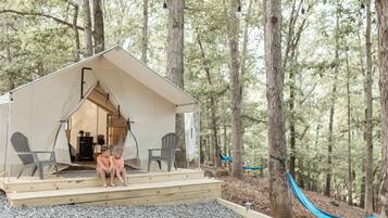 A cabin with a porch, two chairs, and a hammock in a forest setting.