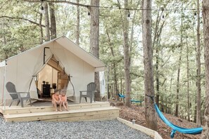 A cabin with a porch, two chairs, and a hammock in a forest setting.