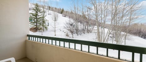 Lägenhet - flera sängar (Borders Lodge U207 2BD Beaver Creek S) | Boendeområde