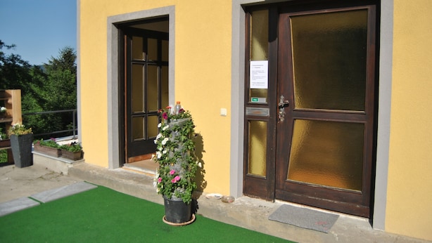 A building with two doors, a green artificial turf in front, and a potted plant with flowers. - Apartment on the first floor. (Rosenbach)
