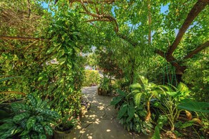 A garden pathway surrounded by lush greenery and various plants. - 
Beachfront  Apartment – Wake Up to Caribbean Sea Views (Hopkins Village)