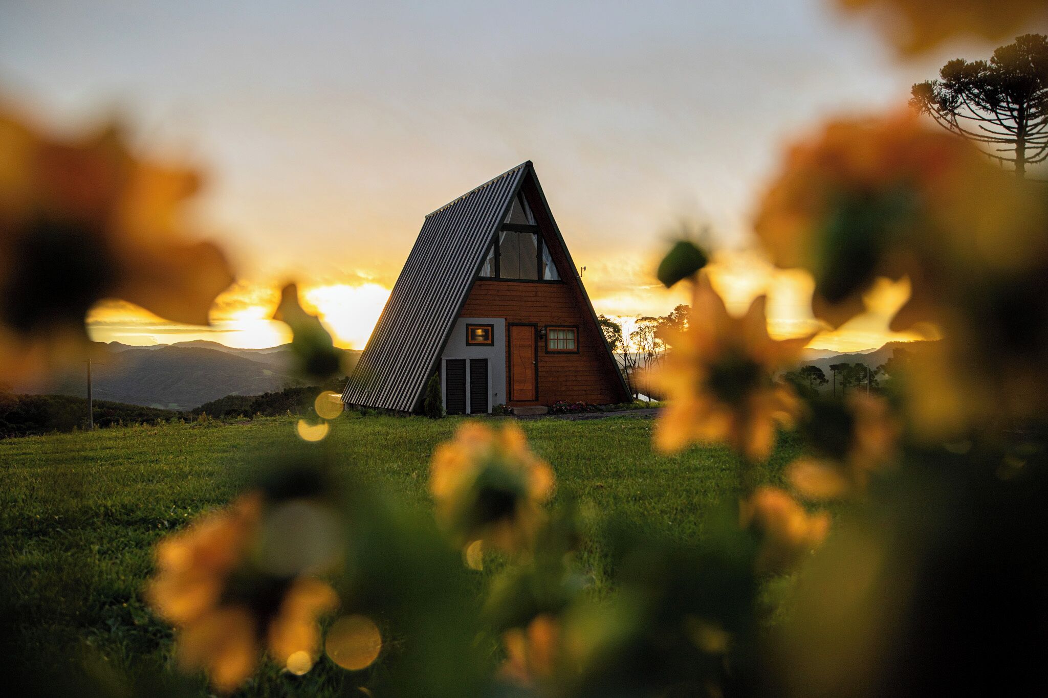 A triangular house with a sloped roof, a door, and windows, set in a grassy field with a sunset in the background.