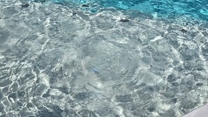 Una piscina con acqua cristallina, circondata da una recinzione in legno e da un'area verde.
