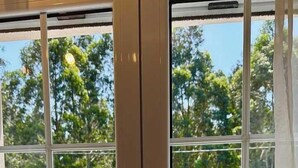 A window with a view of a garden and trees. - The Cliffs - Casa Cadaval (Ortigueira)