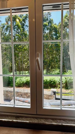 Ein Fenster mit Blick auf einen Garten und Bäume.