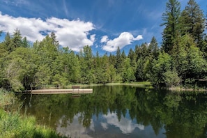 Ein ruhiger See, umgeben von dichtem Wald, einer Holzsteg und einem klaren, blauen Himmel.