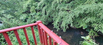 Quirky Cottage On The River in Beautiful Llanidloes