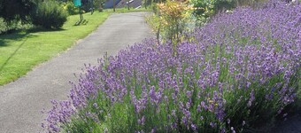 Quiet 25m2 studio in RUMILLY, halfway between Annecy & Aix-les-Bains