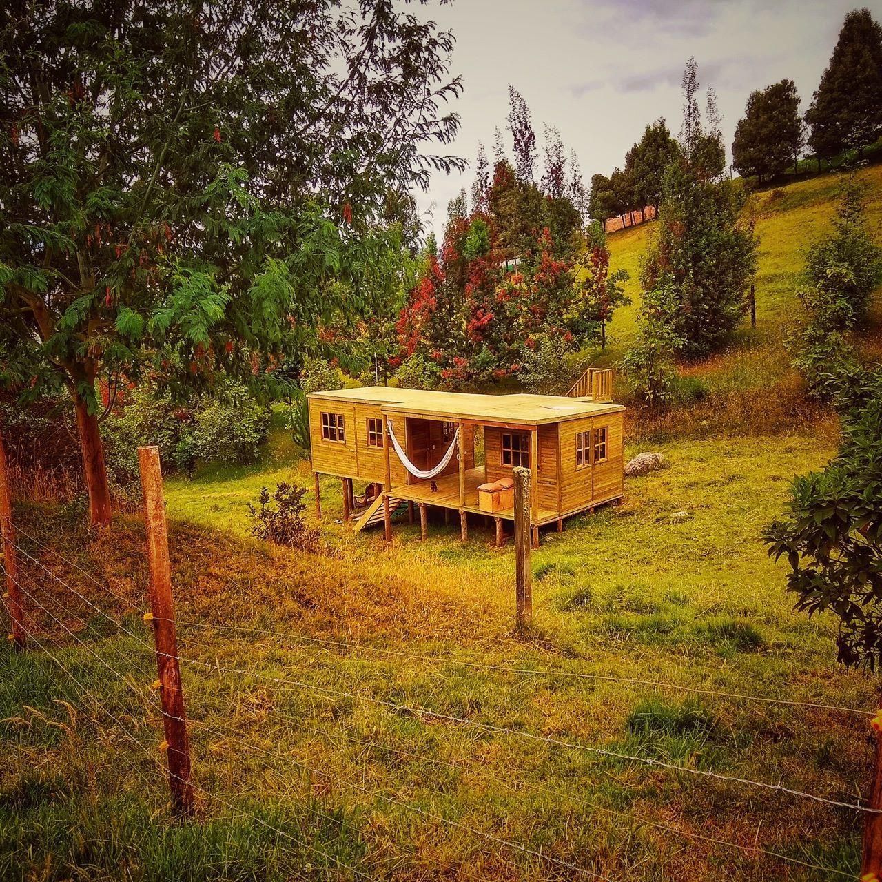 Une cabane en bois dotée d’un porche, entourée d’arbres et d’une colline verdoyante.