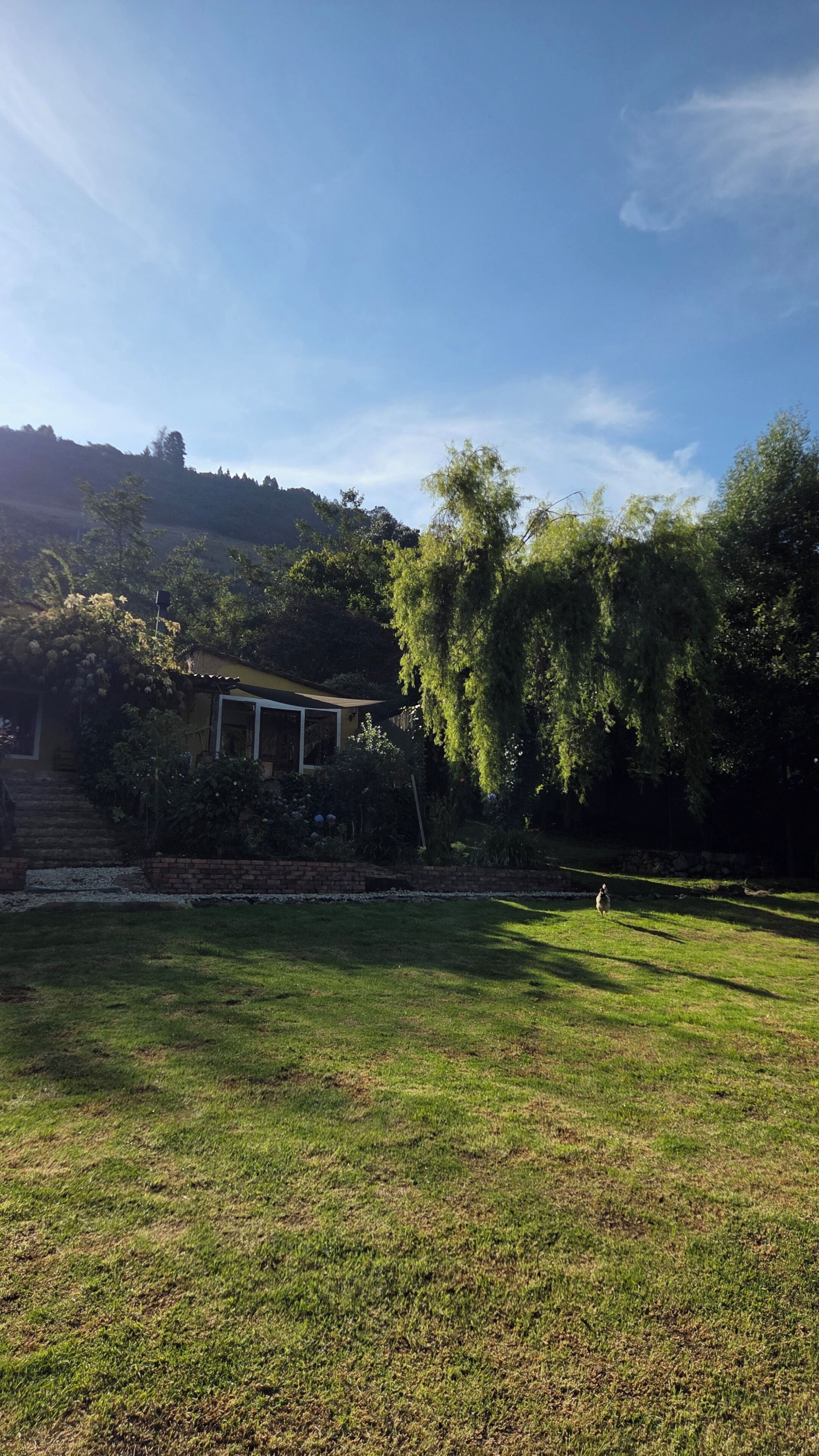 BBQ/picnic area