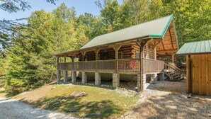 Ein rustikales Blockhaus mit Veranda und einem grünen Dach, umgeben von Bäumen.