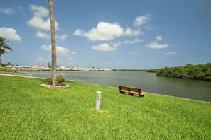 Ein Park mit Rasenfläche, einer Bank und einer hohen Palme.