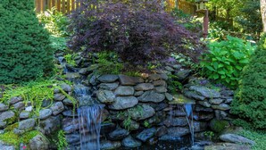 Un jardin agrémenté d’une petite cascade, entouré de rochers et de verdure.
