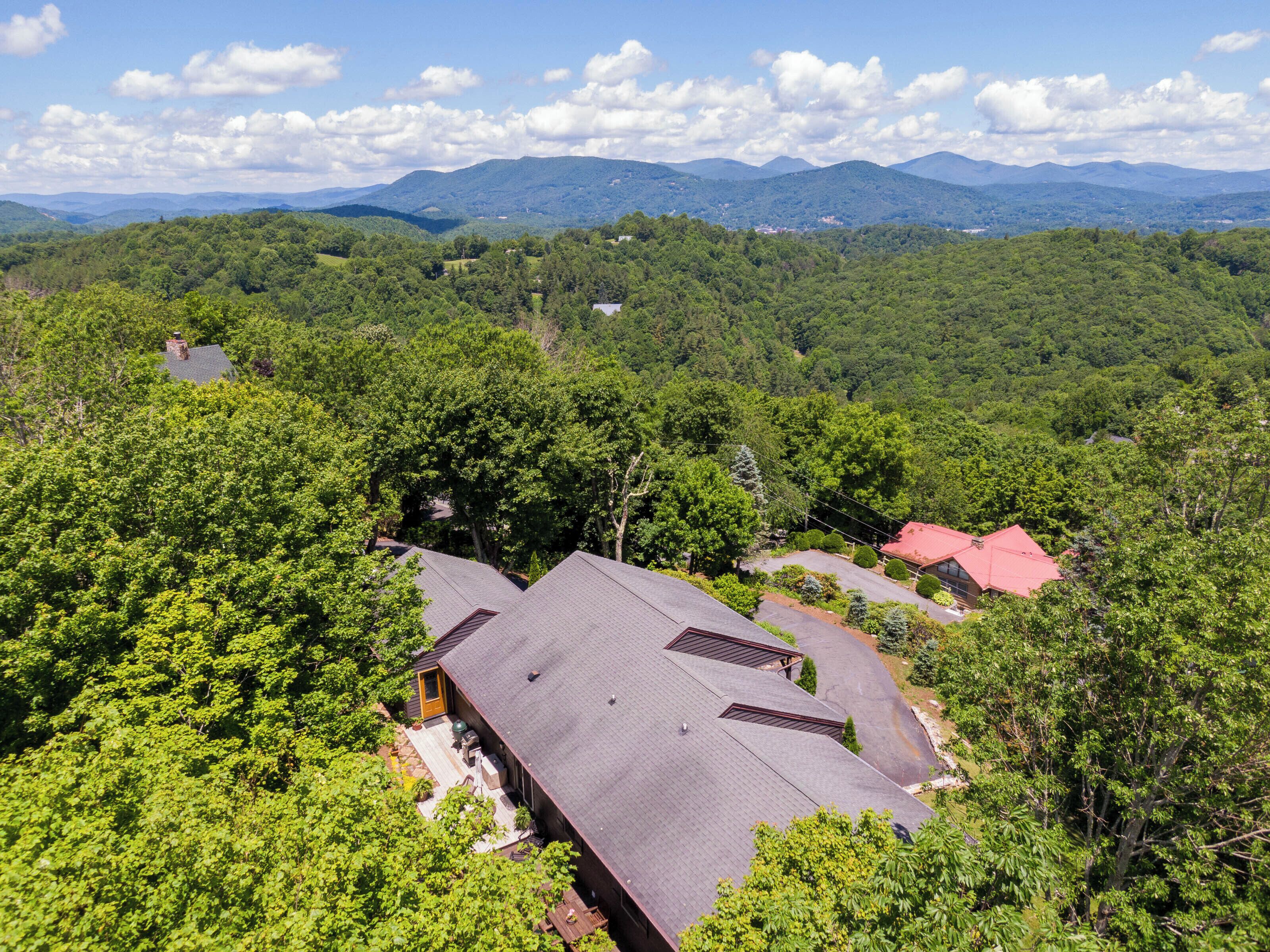 A residential area with houses surrounded by dense forest and mountains in the background.