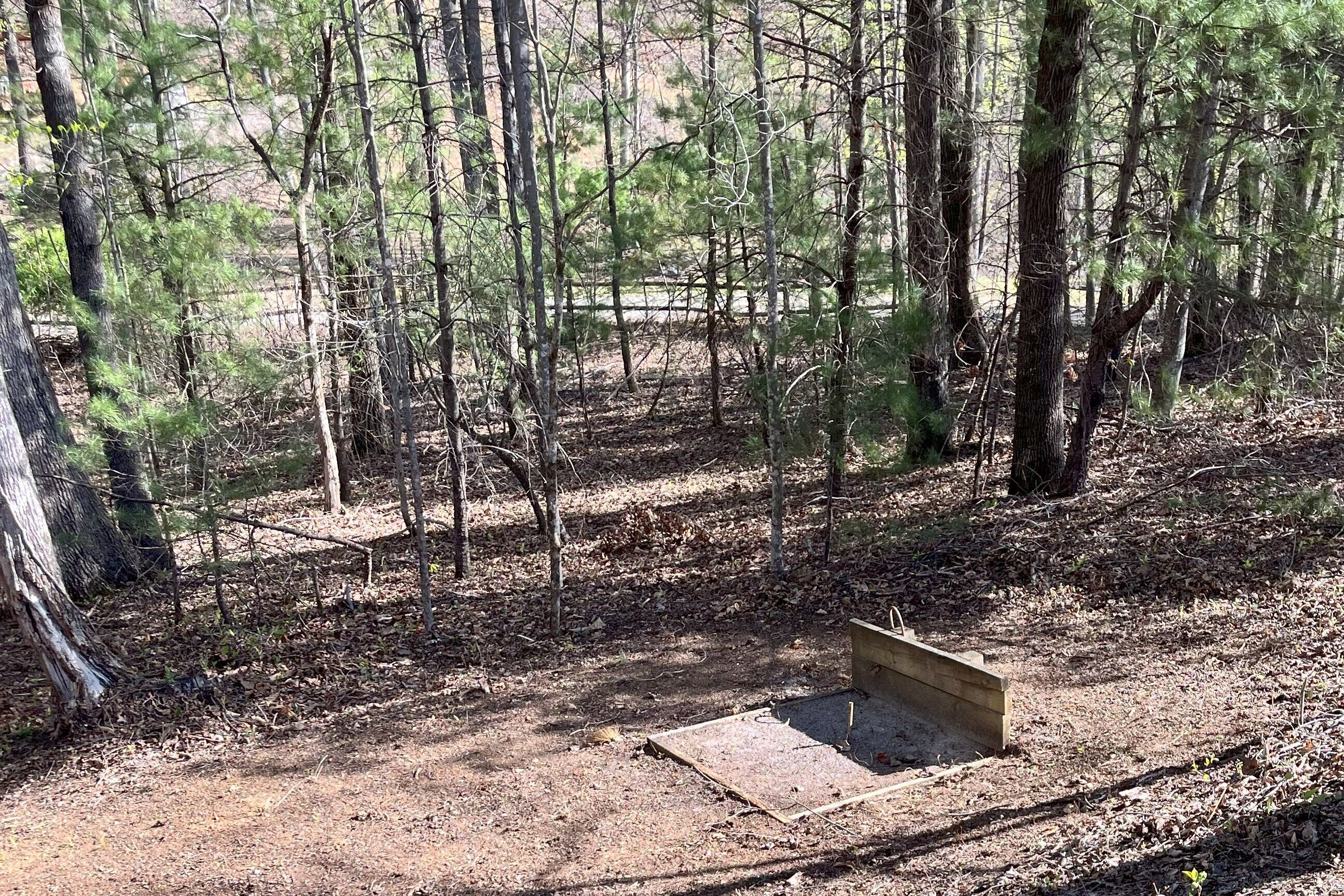 A forested area with a wooden structure, possibly a bench or seating area, surrounded by trees and a dirt ground.