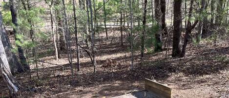 A forested area with a wooden structure, possibly a bench or seating area, surrounded by trees and a dirt ground.