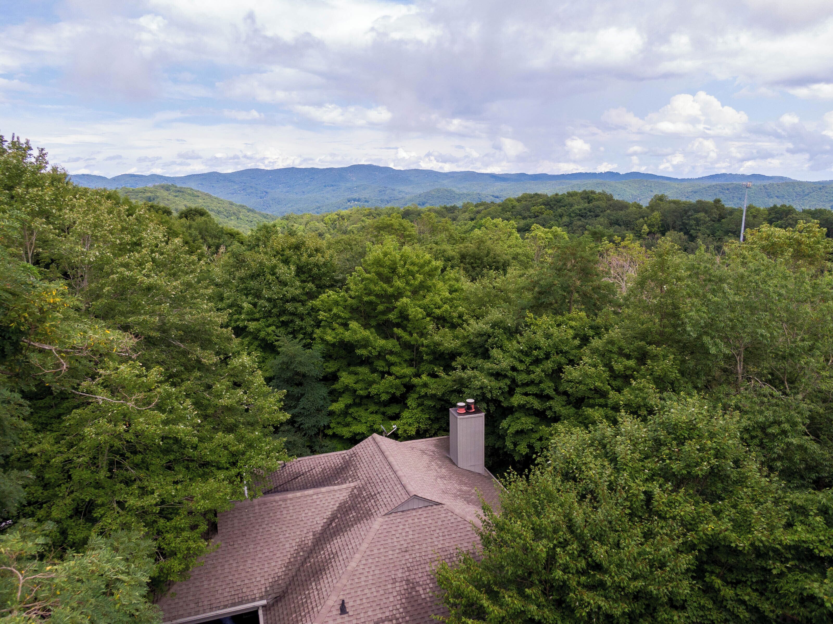 A house surrounded by dense forest with a mountain range in the background.