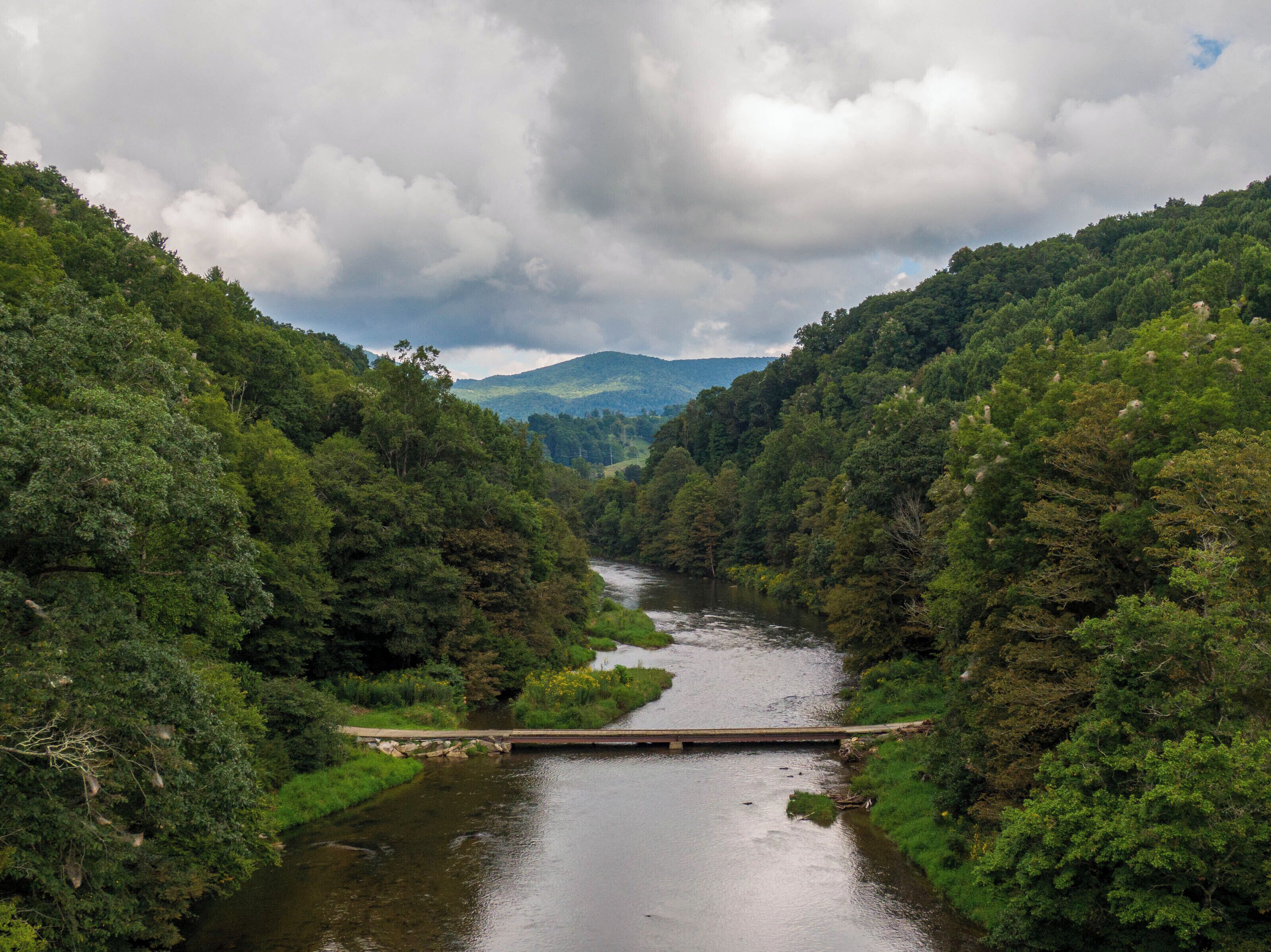 A river flowing through a forested valley with a bridge crossing the river.