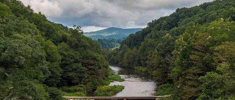 A river flowing through a forested valley with a bridge crossing the river.
