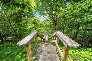 Ein hölzerner Weg schlängelt sich durch einen Wald.