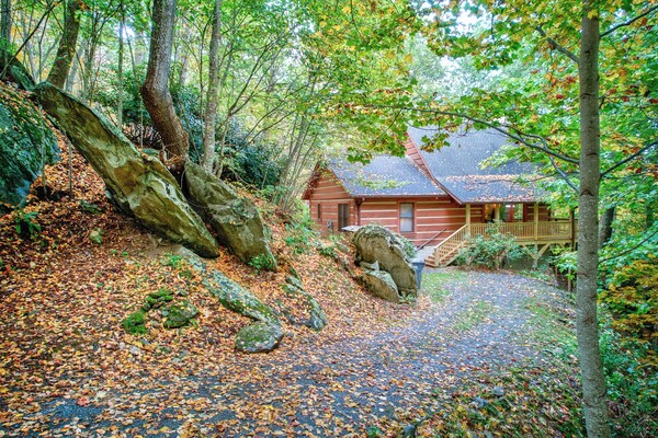 Farallon - Cozy Cabin With Hot Tub, Fire Pit, Wood Fireplace - Sugar Mountain, NC