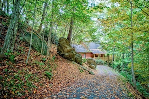 Interior - Farallon - Cozy Cabin With hot Tub, Fire Pit, Wood Fireplace (Banner Elk)
