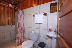 Kylpyhuone, jossa on wc, suihkuverho, pyyheteline ja pesuallas.