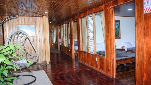 Interior de madera con una cama, un sillón colgante y una planta.