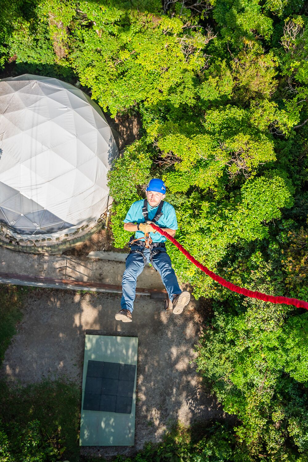 A person bungee jumping from a dome structure in a forested area.