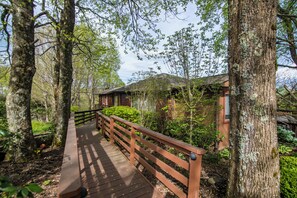 A wooden pathway leading to a building surrounded by trees. - A Nest With a View (Blowing Rock)
