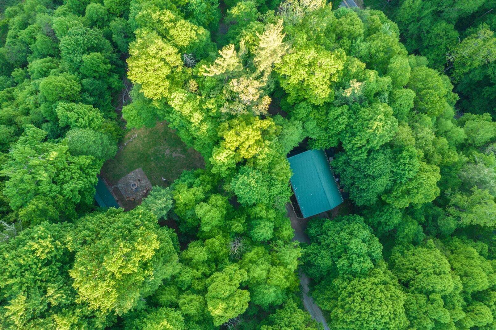 An aerial view of a forested area with a small building featuring a green roof.