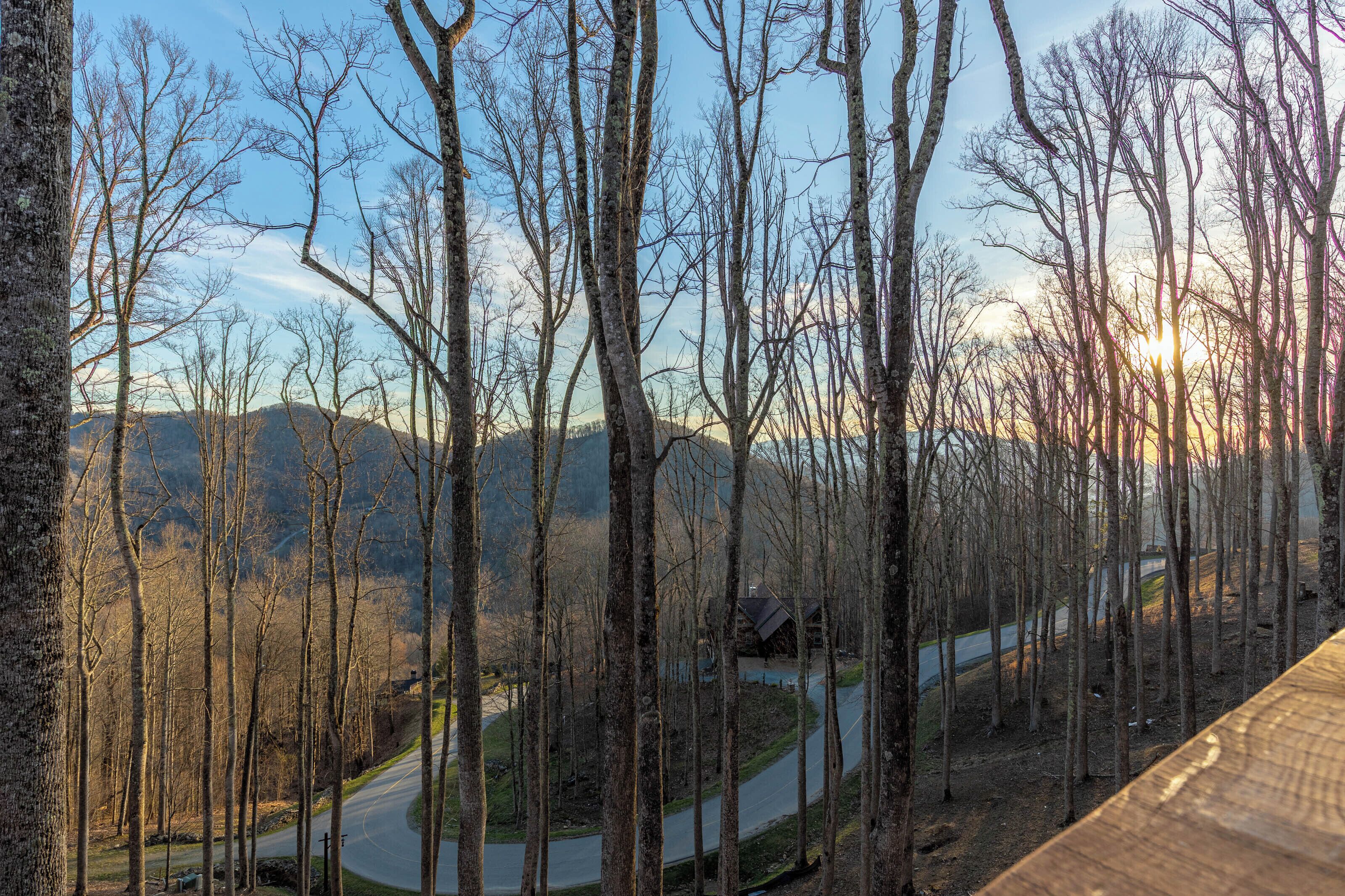 A forested area with a winding road and a building in the distance.