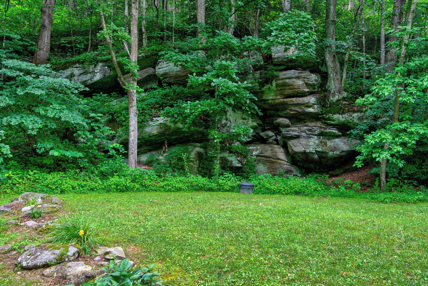 A natural landscape with a grassy area, a rock formation, and trees.