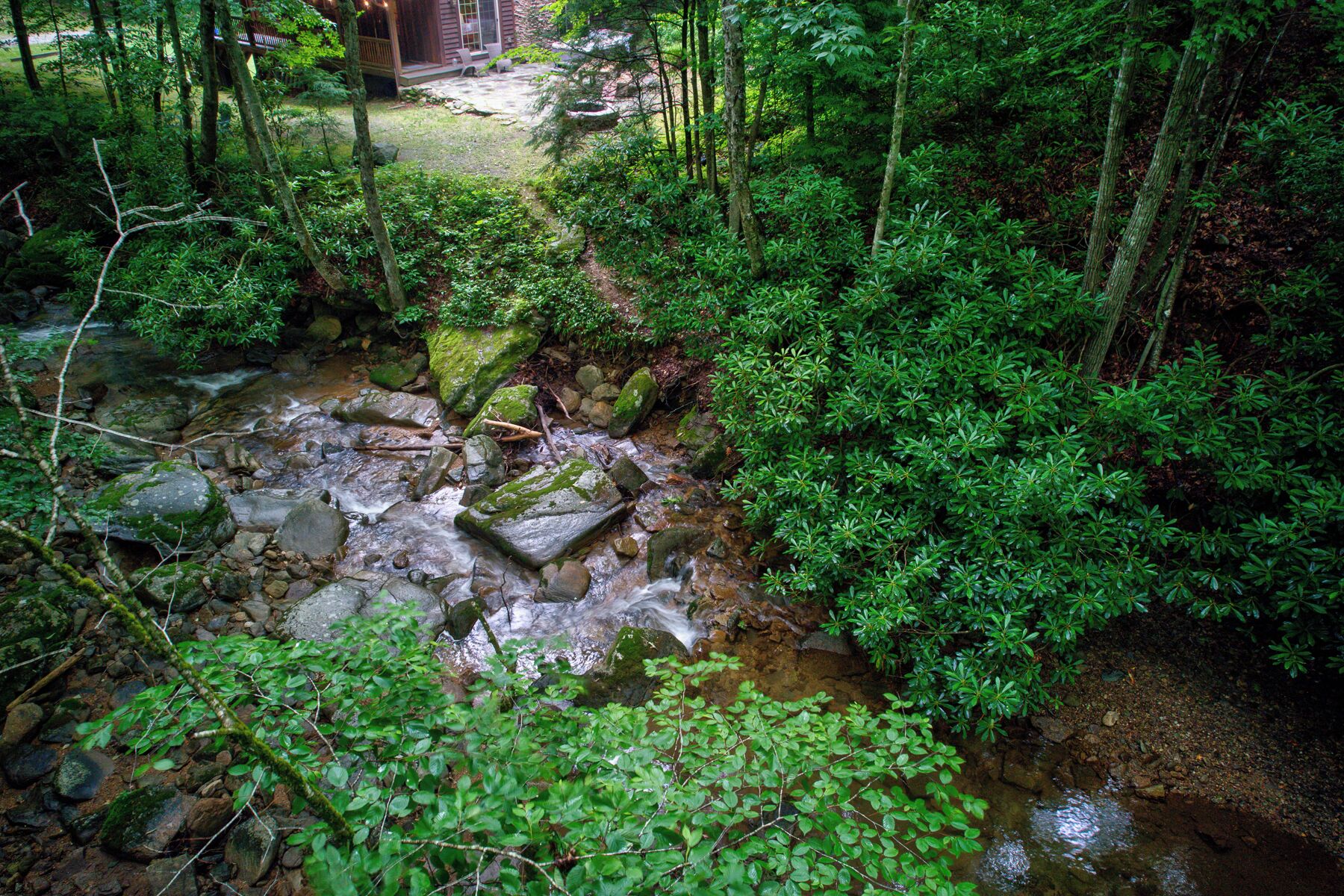 A natural outdoor setting with a stream, rocks, and dense greenery.