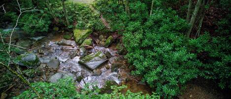 A natural outdoor setting with a stream, rocks, and dense greenery.