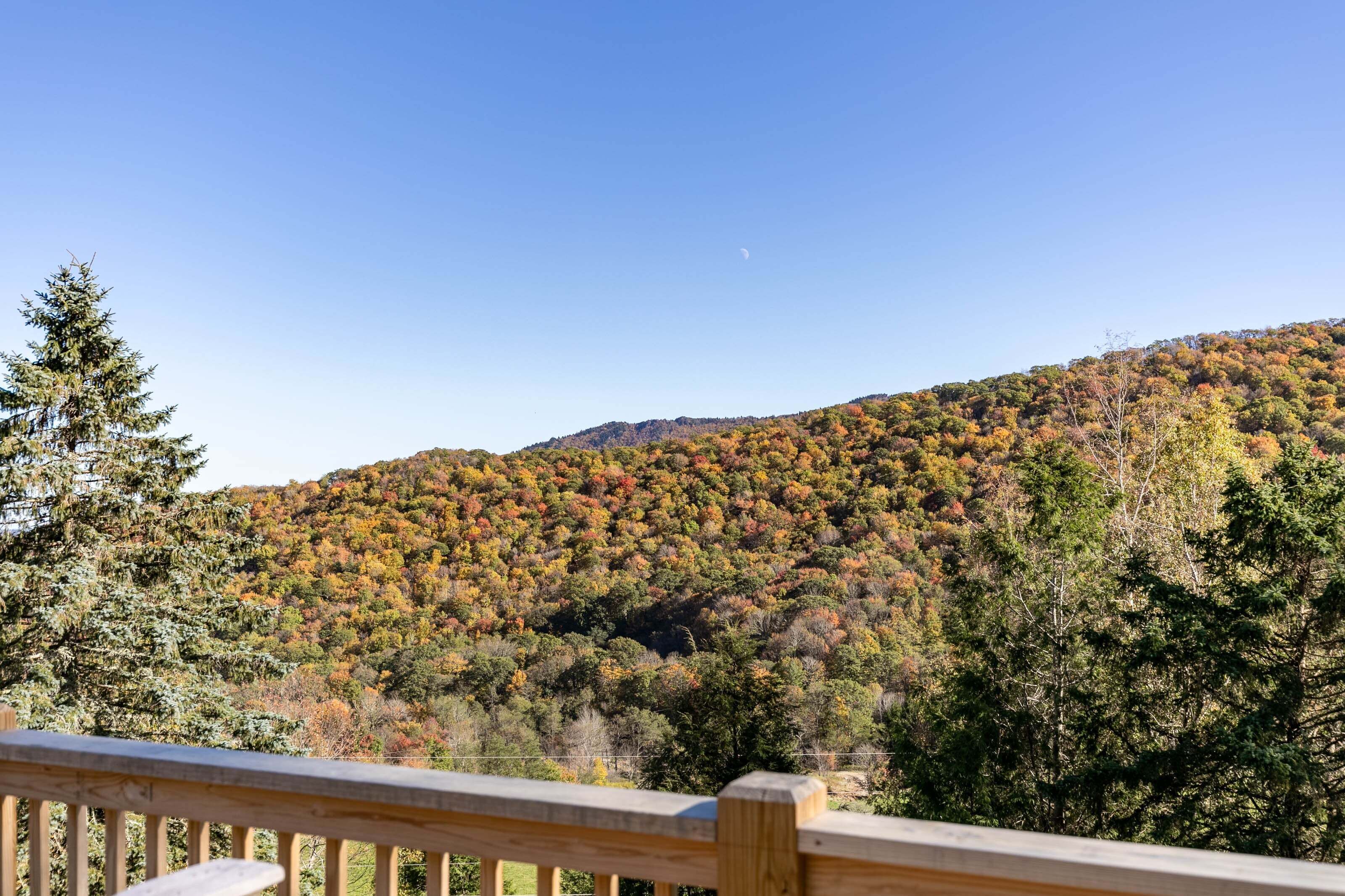 Vue sur une colline boisée depuis une terrasse en bois.