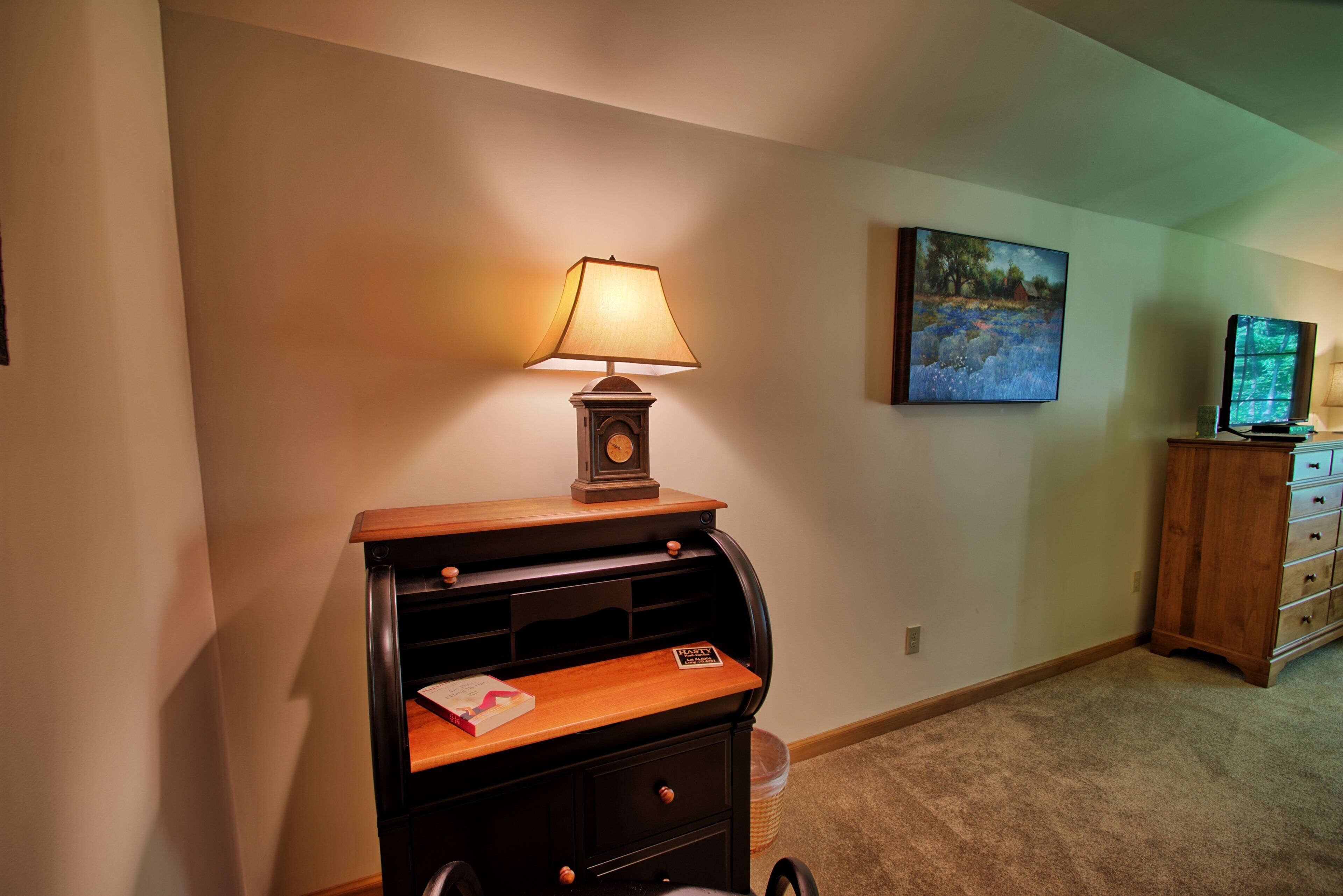 Quarto com escrivaninha, luminária, estante de livros, televisão e um quadro na parede.