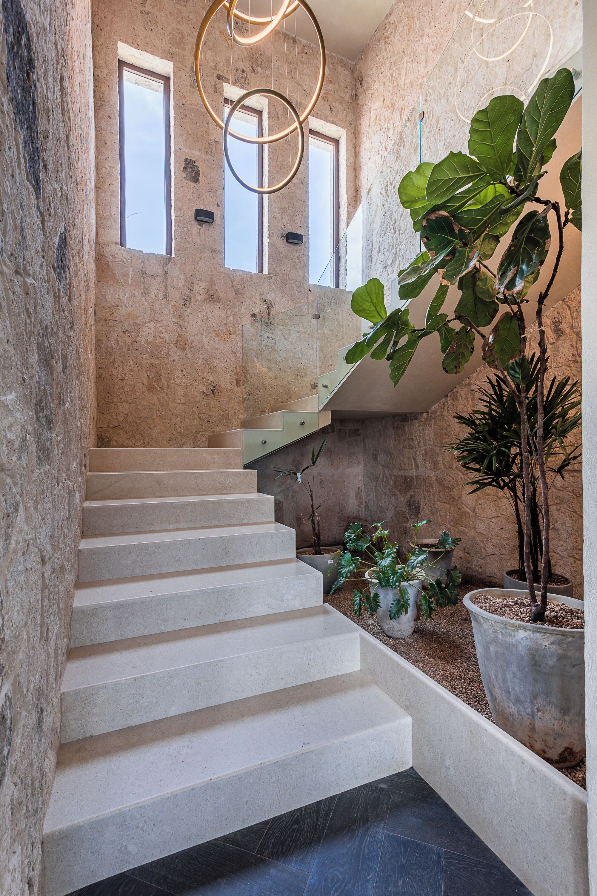 A staircase with a stone wall backdrop, a large potted plant, and a modern light fixture.