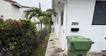 🌴 THE WILD PALM HIDEAWAY
