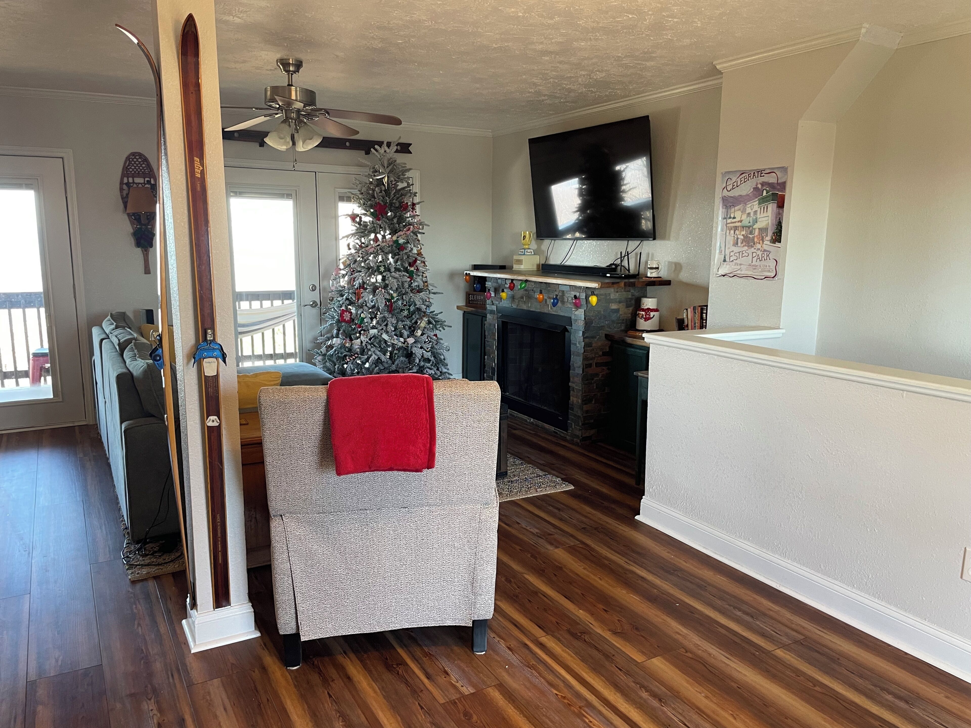 Smart TV, fireplace, books, computer monitors