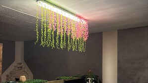 A room with a bed, a fireplace, and hanging plants.