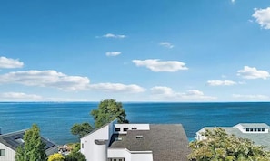 Ein Küstenwohngebiet mit Häusern, einem Baum und Blick auf den Ozean.