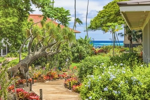 A tropical garden with a pathway, palm trees, and a building with a red roof. - Kiahuna 183 Ground Floor Ocean View PBAC (Koloa)