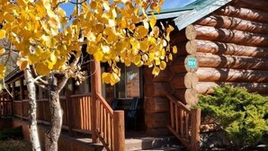 A log cabin with a porch, a visible room number, and a small garden area. - Knotted Pine Suite #251 (Greer)